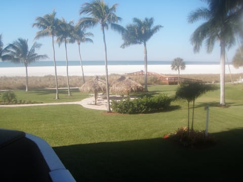 View from Balcony 