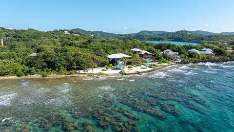 Aerial
