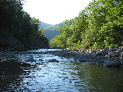 The Stony Clove - a Catskill Treasure