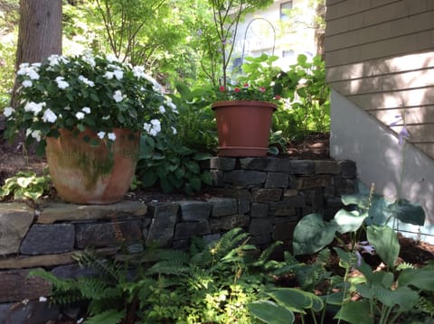 Garden and stone walls above the patio