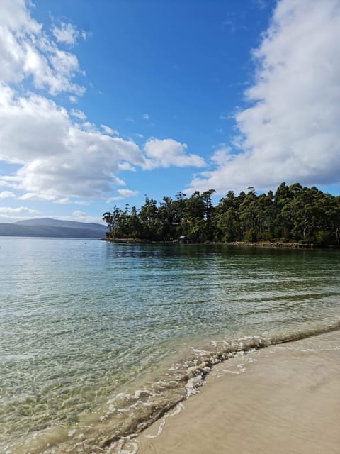 Crystal clear water, surrounded by old-growth forrest.
