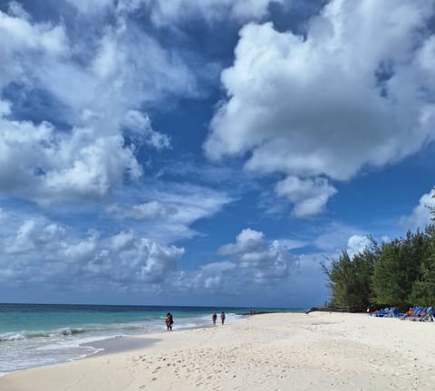 Beach across from the condo. 
