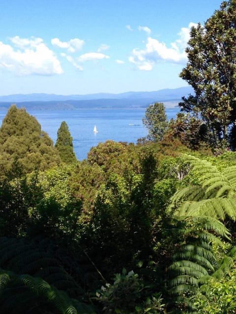 Lovely views 