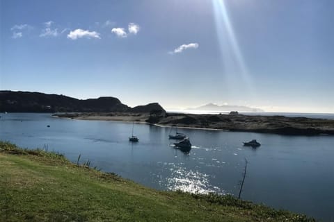 The view from the beachfront bach