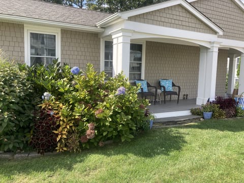 Pick a vaseful of hydrangeas for your dinner table!