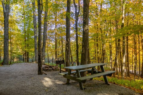 Picnic area (because glamping isn't complete without a campfire)