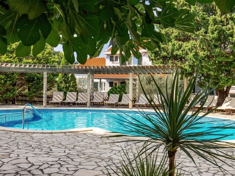 Water, Plant, Property, Azure, Tree, Botany, Building, Arecales, Shade, Swimming Pool