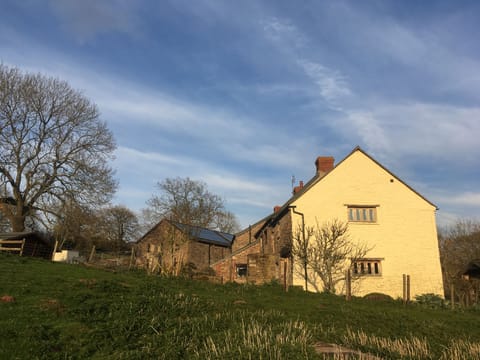 The patio catches the afternoon and evening sun.
