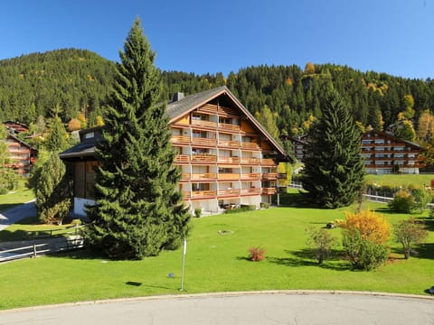 Property, Home, House, Real Estate, Tree, Residential Area, Roof, Grass, Building, Land Lot
