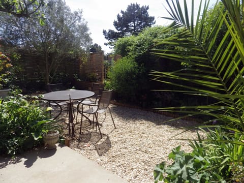Back garden