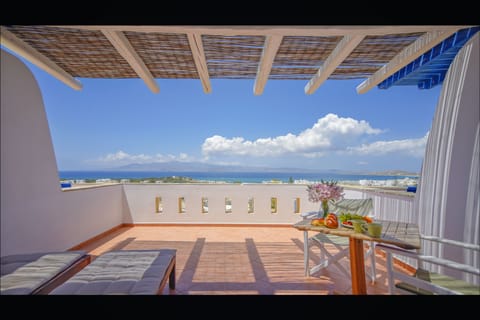 TERRACE WITH AMAZING VIEWS OF 10 CYCLADIC ISLANDS & THE BEST BEACHES IN NAXOS 