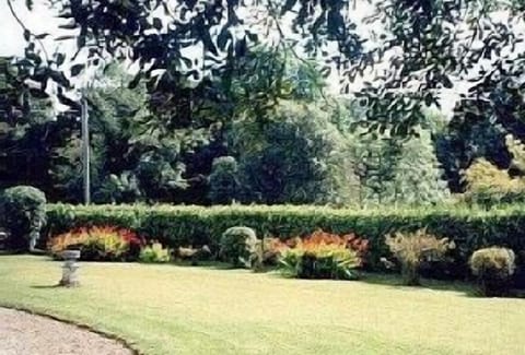 Front garden with ancient trees.