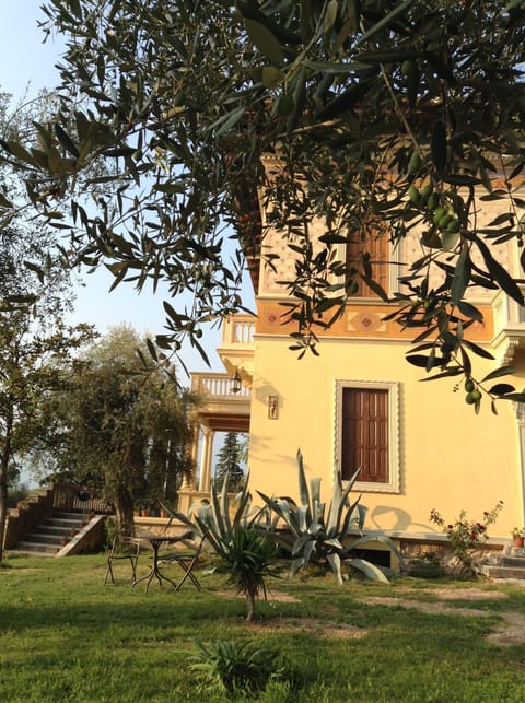 Partial view of the garden