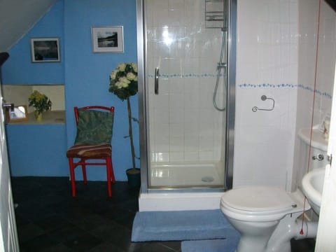 shower cubicle /toilet and basin combined with attic twin room