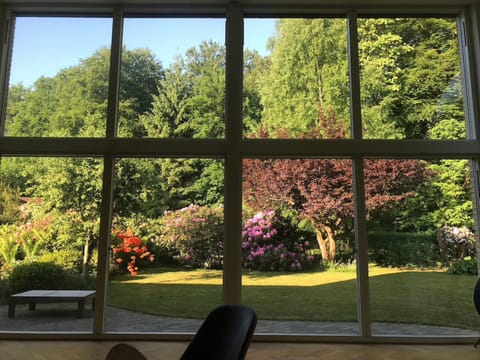 View to the garden.