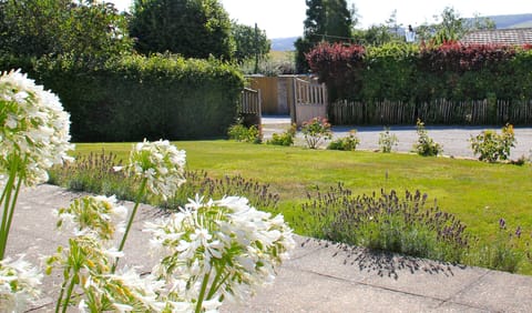 Front garden and entrance