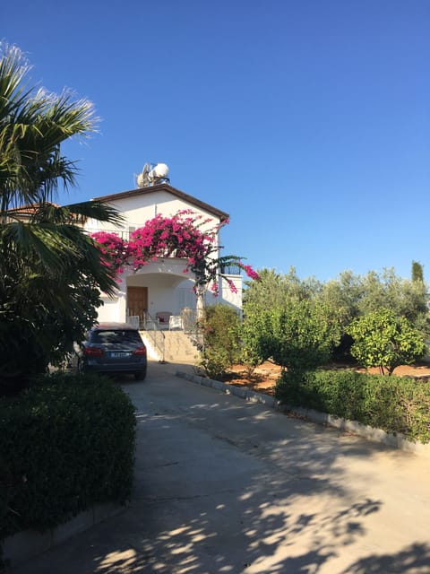 The front of the villa is awash with bougainvillea