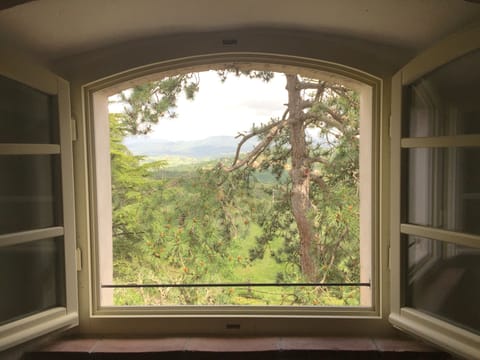 One of the views