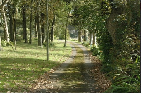 Avenue entrance 
