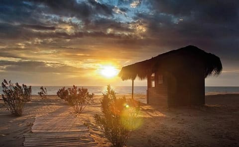 Patara Beach