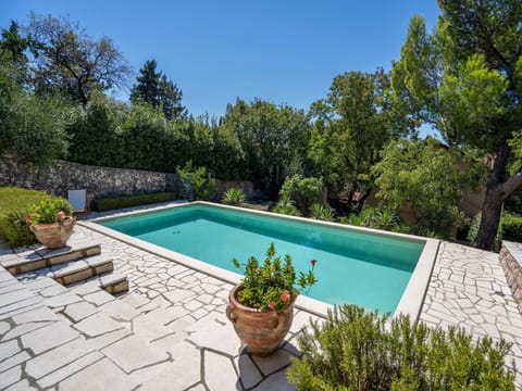 Plant, Water, Property, Sky, Swimming Pool, Shade, Body Of Water, Tree, Flowerpot, Grass