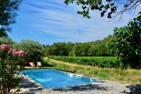 Pool with view of vines and olives