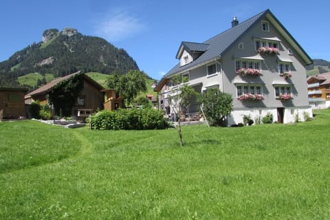Picture 6