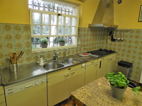 The large Provencal kitchen overlooking the terrace