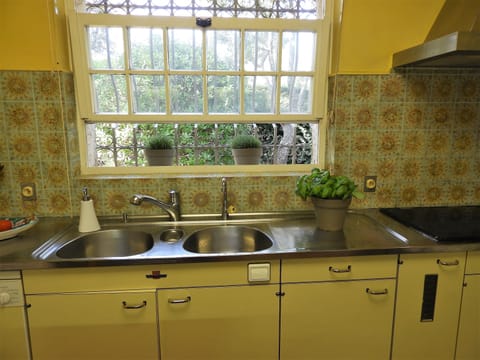 The large Provencal kitchen overlooking the terrace