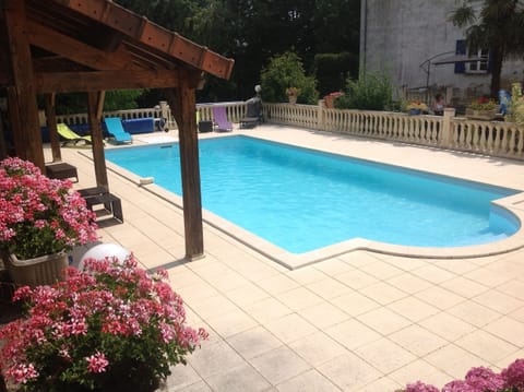 You want to take a swim in our pool?