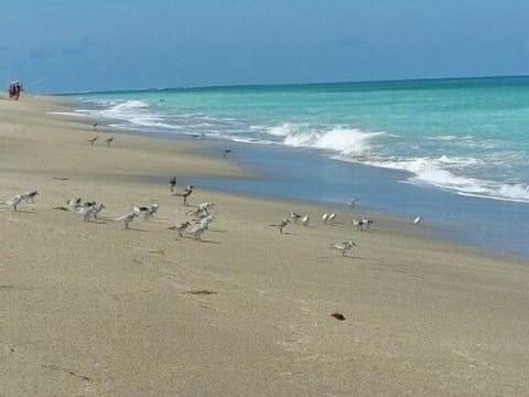 Quiet private Beach