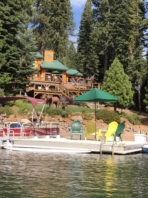 View from the Lake