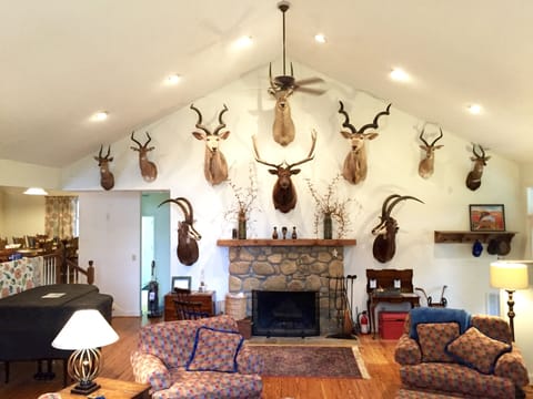 Local stone fireplace surrounded by collection of African taxidermy. 