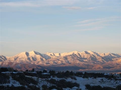 View from the House
