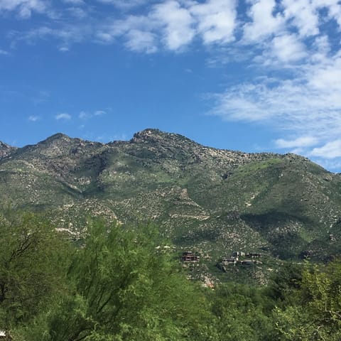 Beautiful mountain views from the condo!