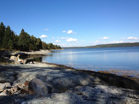 Shore walk in late summer. Granite ledge. Rockweed on beach. Blue sky & silence.