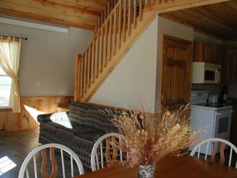 Living and dining area