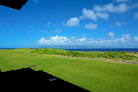 View from your sun lounger.
