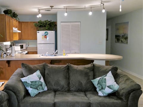 Kitchen from Living Room