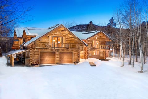 The Wildflower Lodge in the Snow (March 2016)