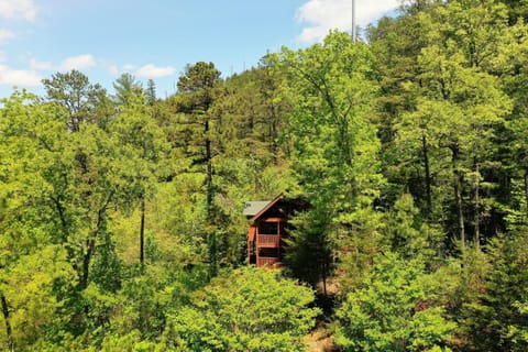 A red wooden cabin peeks through dense green trees under a bright blue sky in a forested hillside.