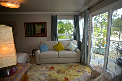 lots of light coming in through windows you're surrounded by redwoods and pines