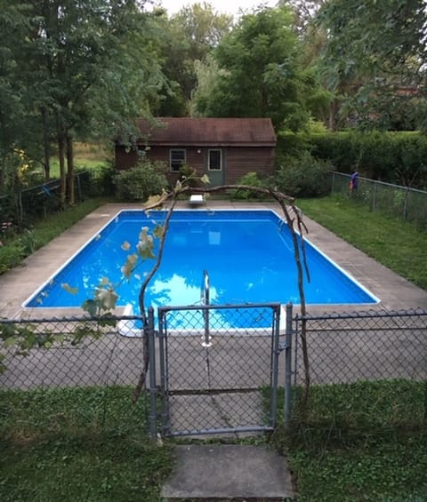 in summer, grape vines grow around the pool.