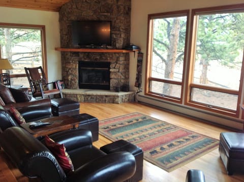 Family Room fireplace with gas logs