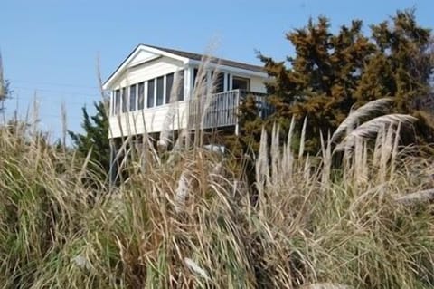 Situated on a spacious and private 1/4 acre lot