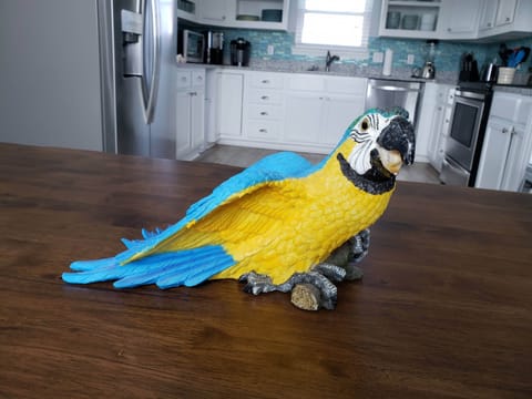 Henry, our resident mascot of Serenity Sands Beach House, is ready to greet you!