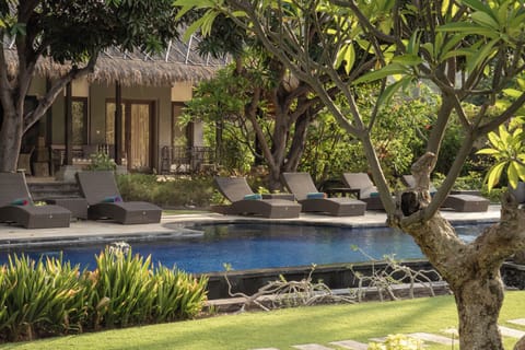 Beautiful grounds and sparkling pool at Villa Wilali.