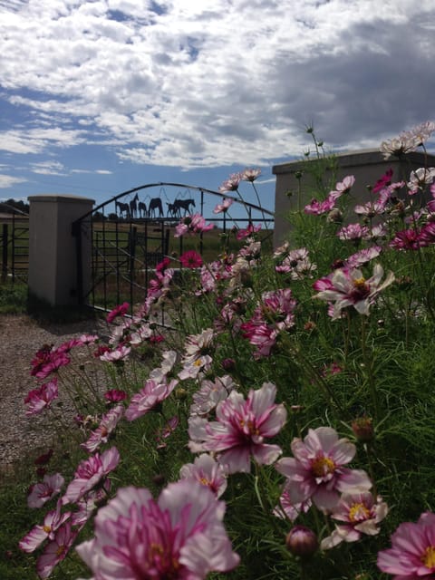 Gate to our farm