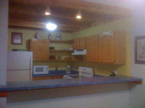 Bluebird Cabin kitchen