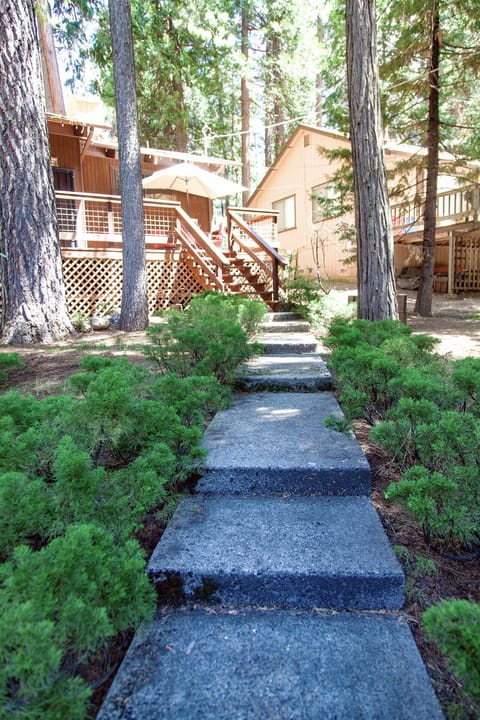Steps leading to porch and front door